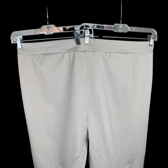 SUSAN‎ GRAVER Everyday Slim Leg Pants Beige Pull On Stretch 3X NWT Comfort - Picture 2 of 9